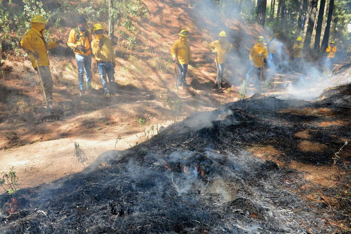 #Estatal | Cuenta Probosque con 563 combatientes, quienes arriesgan su vida en recientes incendios