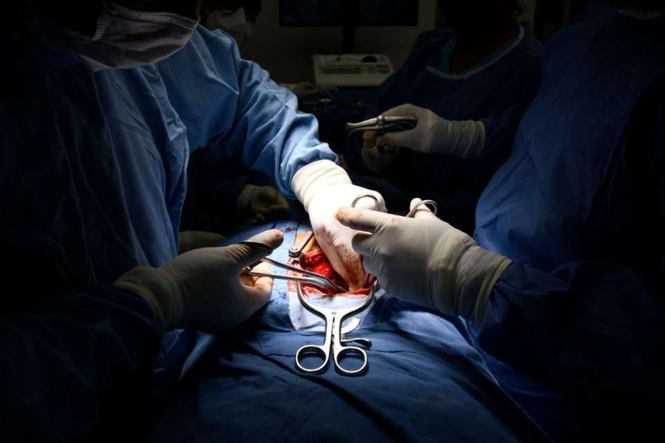 Durante el 2021 IMSS realizó mil 791 trasplantes de órganos y tejidos