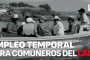 Gobierno, académicos, organizaciones civiles y comunidades, unidos por el Lago de Pátzcuaro