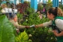 Visita Juanita Mendoza el mercado de plantas en Tenango