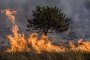 Afectan incendios forestales más de cien hectáreas en Acaxochitlán